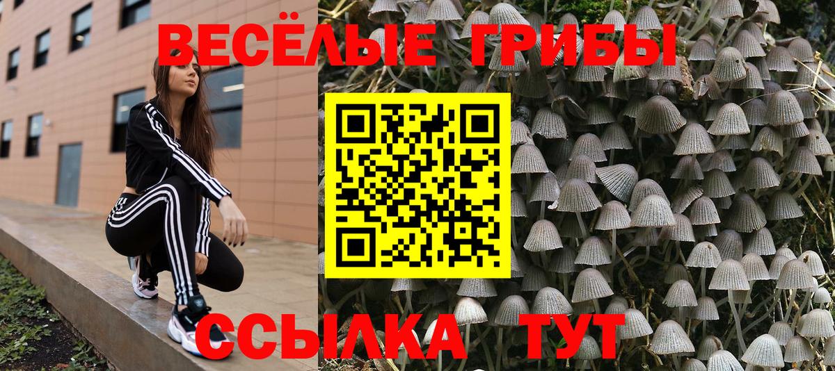 Галлюциногенные грибы прущие грибы Калач-на-Дону