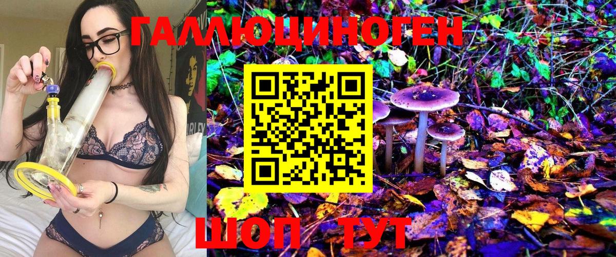Калач-на-Дону  Галлюциногенные грибы Psilocybe  Псилоцибиновые грибы мицелий  как найти закладки  Вход с VPN 